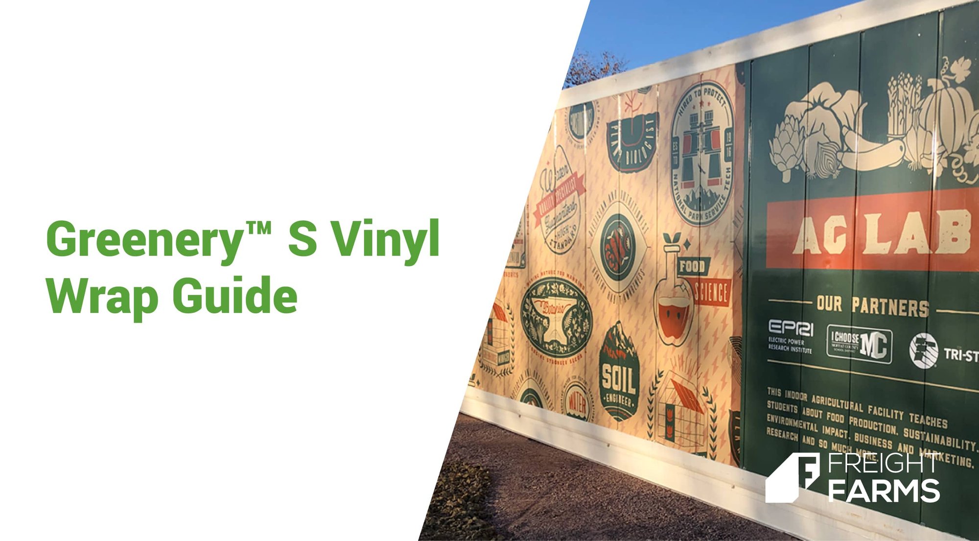 Vinyl Wrap Guide